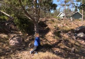 Emil busar på stigarna i skogen bredvid stugorna