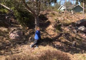 Metsässä löytyy polkuja lasten iloksi
