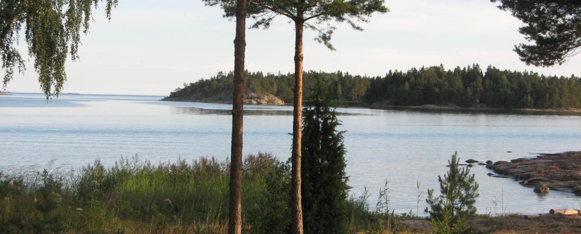 Rehevä merinäköala